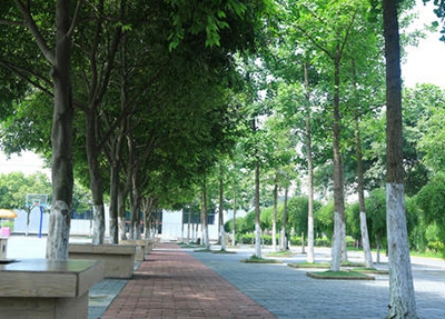 东莞2023年中考300多分读服装制作与生产管理专业有前途吗